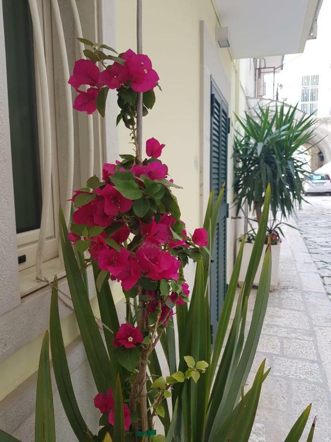 Arco Gentile Bed & Breakfast Bitonto Exterior foto